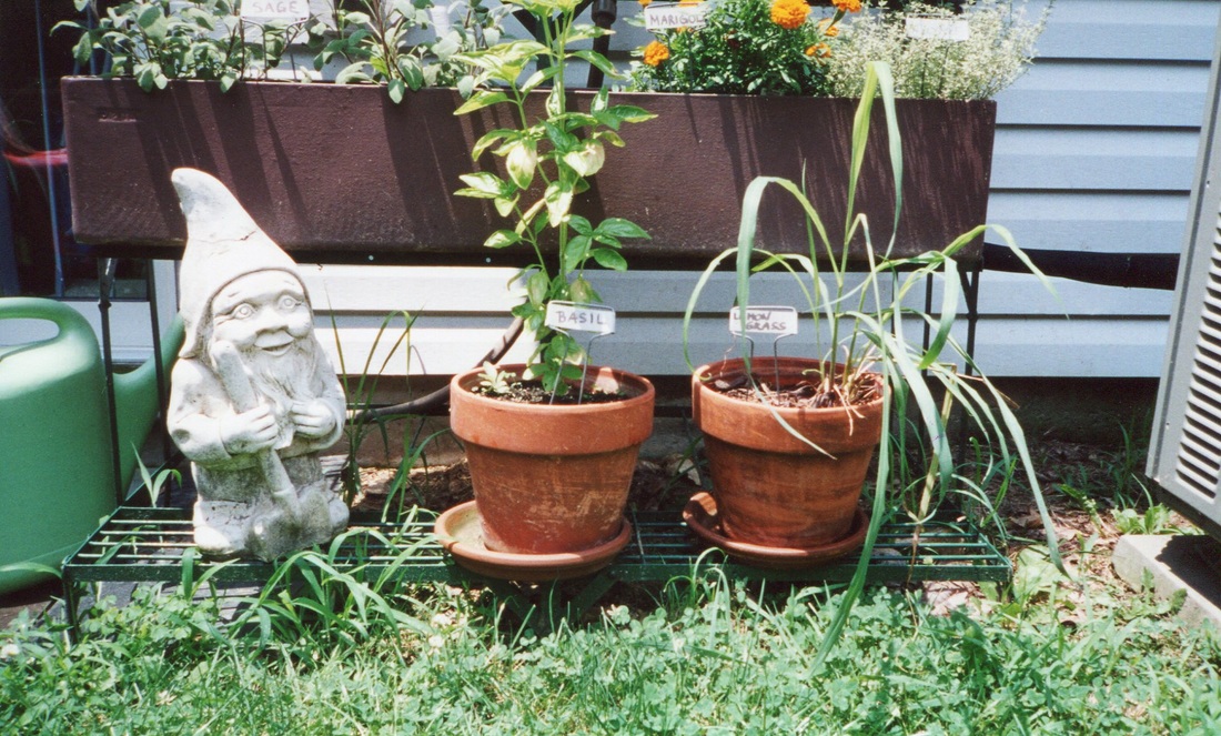 Picture